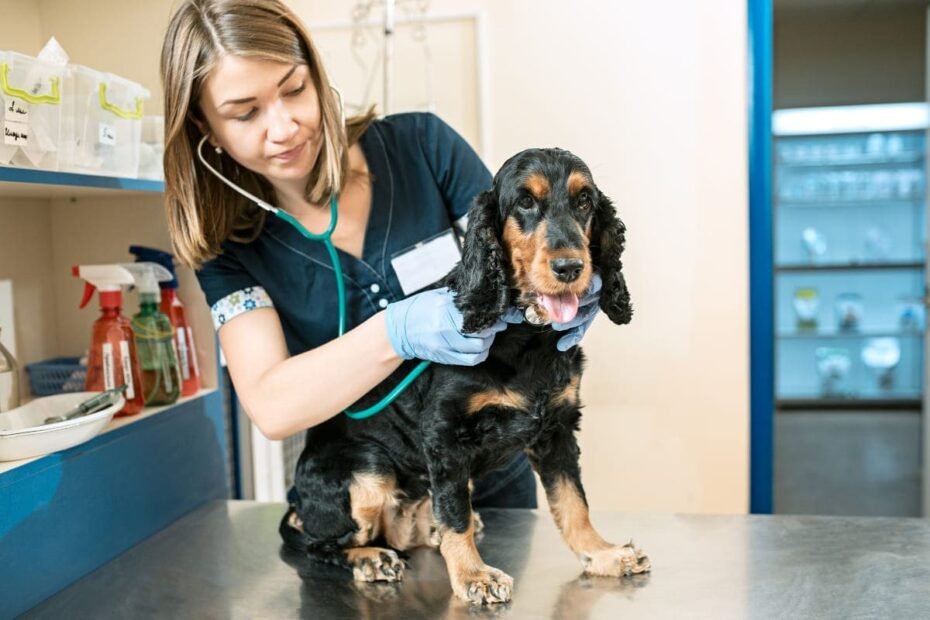 como-proteger-cachorro-contra-pulgas-carrapatos-e-vermes