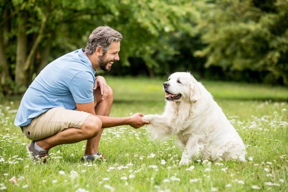 entendendo-o-comportamento-canino-como-lidar