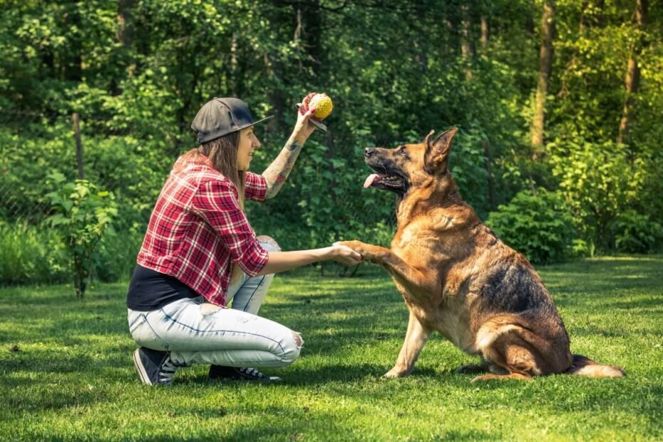 entendendo-o-comportamento-canino