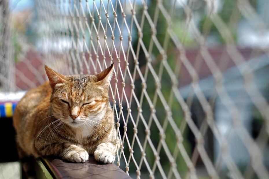 tipos-de-animais-de-apartamento-e-como-cuidar